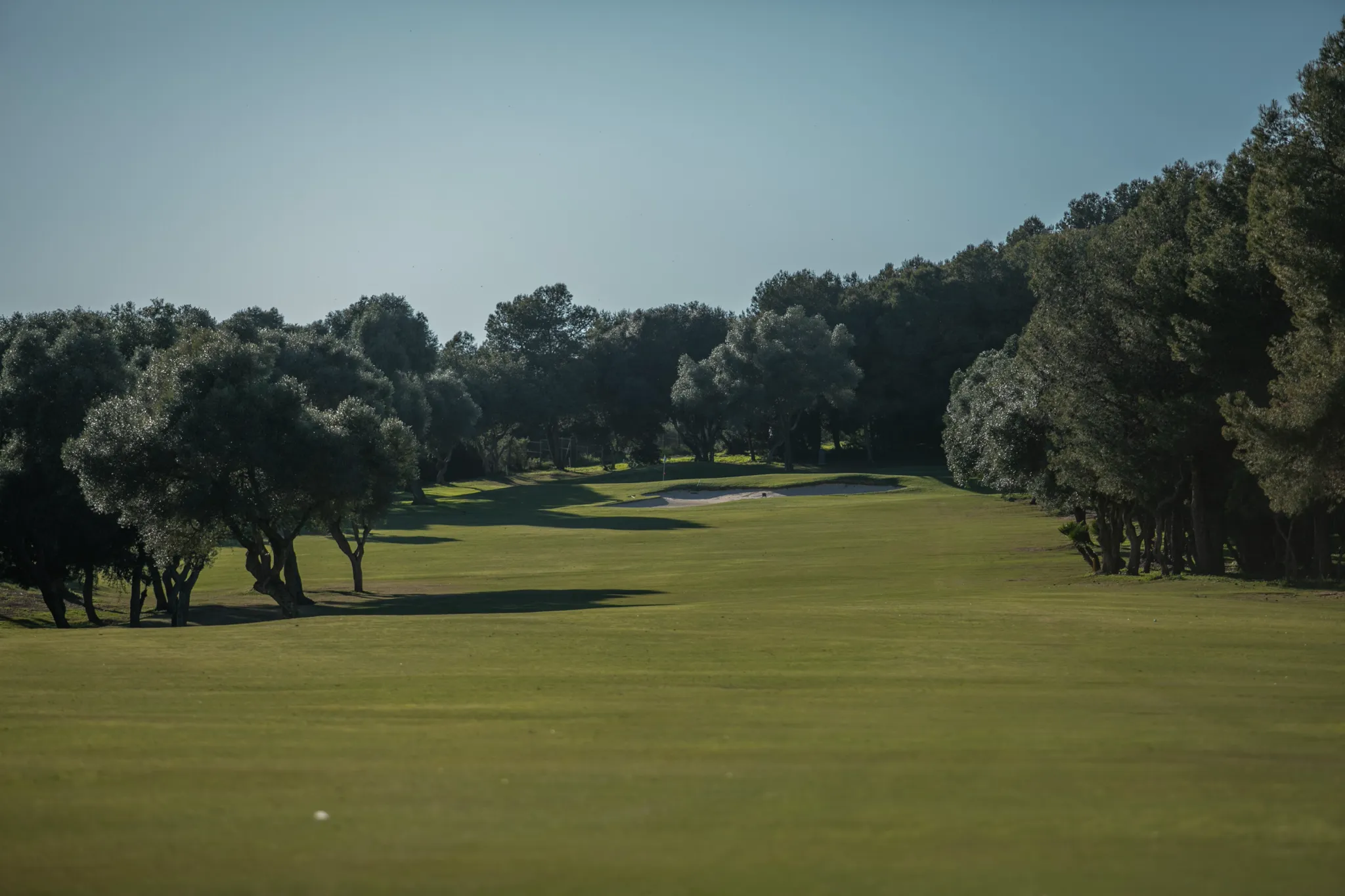 Alejandra Gil, la campeona de Andalucía Infantil de golf