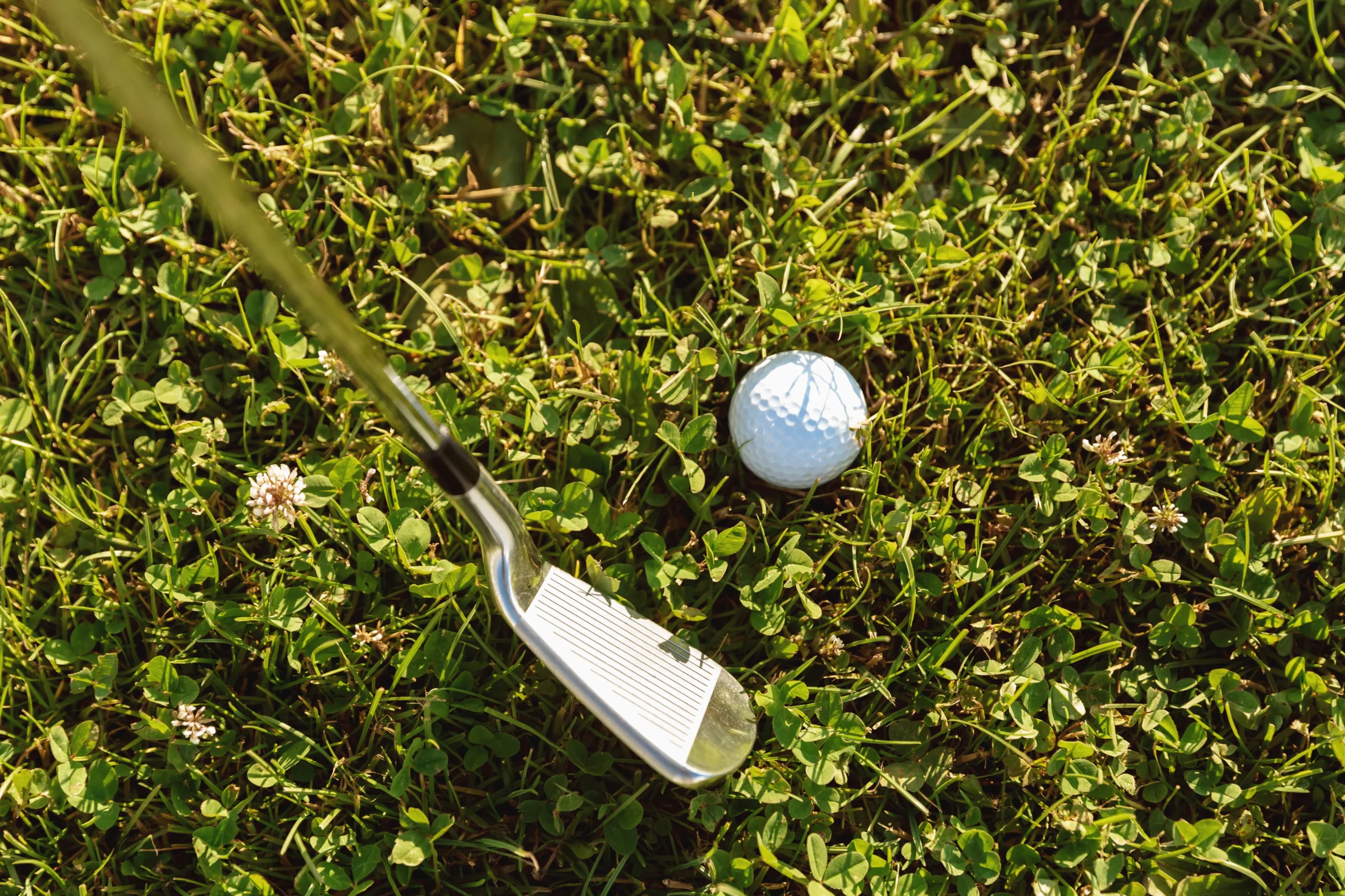 Golfistas que crecieron en La Cañada y hoy compiten